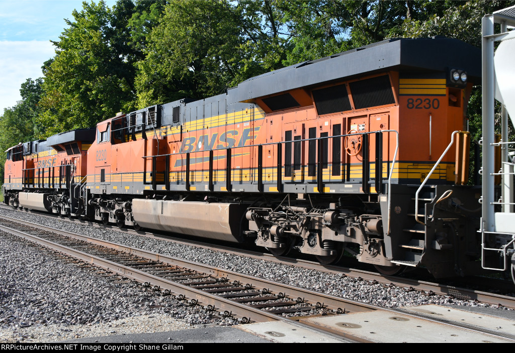 BNSF 8230 Roster shot